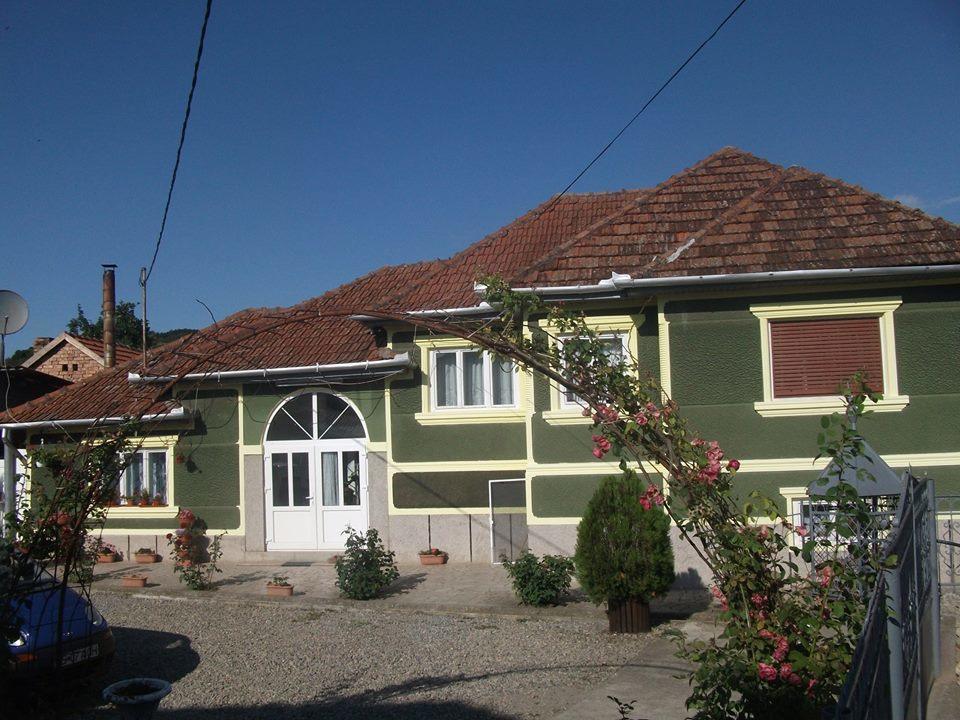 Casa Ana Hateg Exterior photo